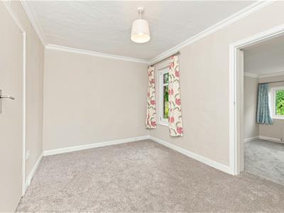 Picture 24